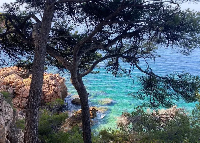 Zen A Vallongue Appartement