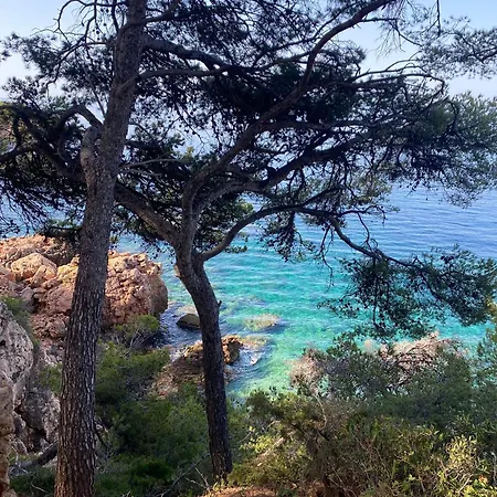 Zen A Vallongue شقة